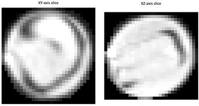 Automated extraction of pod phenotype data from micro-computed tomography